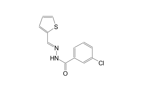 benzoic acid, 3-chloro-, 2-[(E)-2-thienylmethylidene]hydrazide