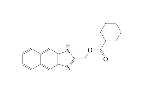1H-naphtho[2,3-d]imidazol-2-ylmethyl cyclohexanecarboxylate