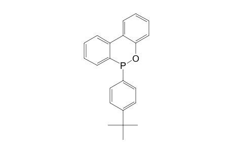 6-(4-tert-butylphenyl)benzo[c][1,2]benzoxaphosphinine