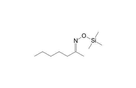 Heptan-2-one oxime, mono-TMS, isomer 1