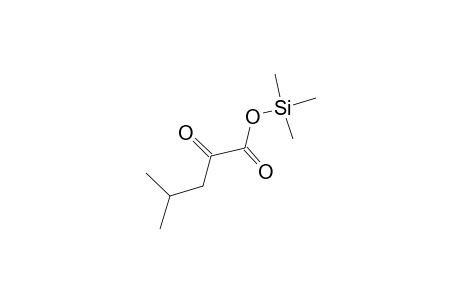 2-keto-4-methyl-valeric acid trimethylsilyl ester