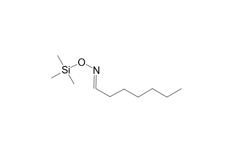 Heptanal oxime, mono-TMS, isomer 2