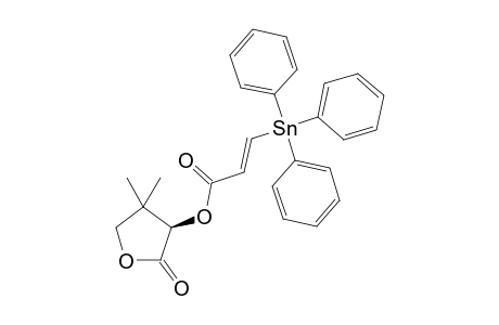 (R)-4,4-Dimethyl-2-oxotetrahydrofuran-3-yl (E)-3-Triphenylstannylpropenoate