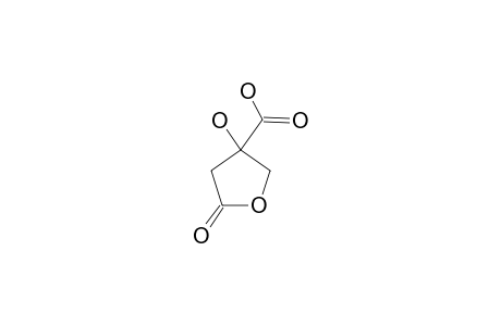 HP;L-2-HYDROXYPARACONIC-ACID;3-CARBOXYL-3-HYDROXYBUTANE-4-OLIDE