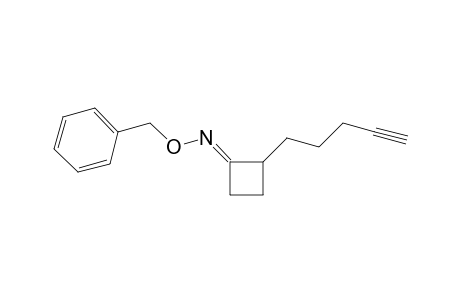 2-(pent-4'-ynyl)cyclobutanone O-benzyloxime