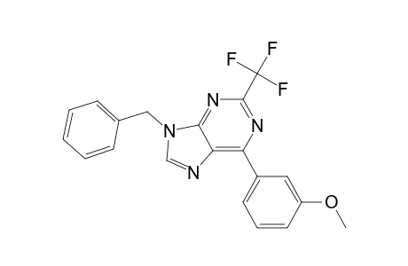 6-(3-methoxyphenyl)-9-(phenylmethyl)-2-(trifluoromethyl)purine