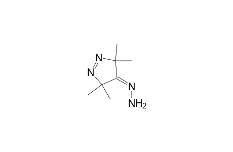 3,3,5,5-tetramethyl-3,5-dihydro-4H-pyrazol-4-one-hydrazone