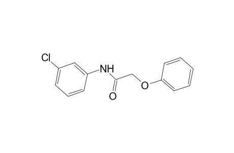 N-(3-chlorophenyl)-2-phenoxy-acetamide