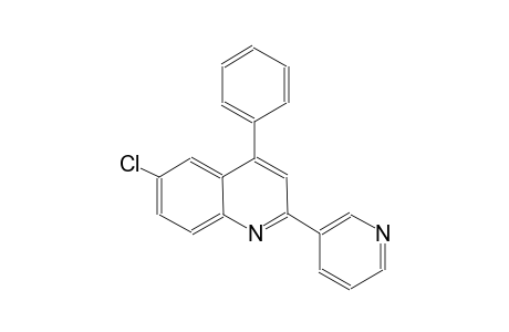 6-chloro-4-phenyl-2-(3-pyridinyl)quinoline