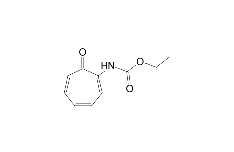 (7-oxo-1,3,5-cycloheptatrien-1-yl)carbamic acid