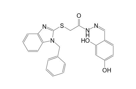acetic acid, [[1-(phenylmethyl)-1H-benzimidazol-2-yl]thio]-, 2-[(Z)-(2,4-dihydroxyphenyl)methylidene]hydrazide