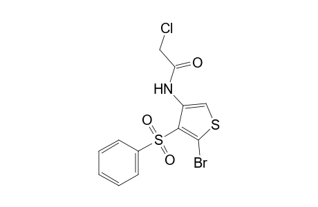 N-[5-bromo-4-(phenylsulfonyl)-3-thienyl]-2-chloroacetamide