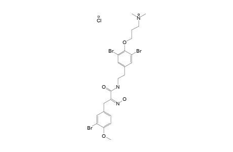 APLYSAMINE-2;3-[2',6'-DIBROMO-4'-(2''-[3'''-(3''''-BROMO-4''''-METHOXYPHENYL)-2'''-(HYDROXYIMINO)-1'''-OXOPROPYLAMINO]-ETHYL)-PHENOXY]-N,N-DIMETHYLPROPAN-1