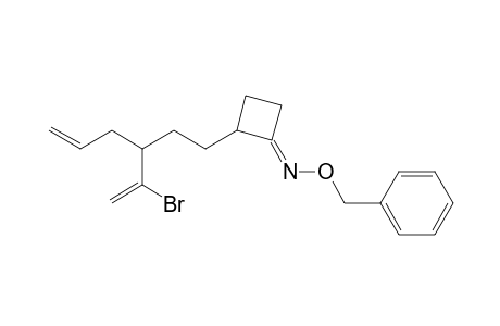 (E)-2-[3'-(1''-bromoethenyl)hex-5'-enyl]cyclobutanone O-benzyloxime