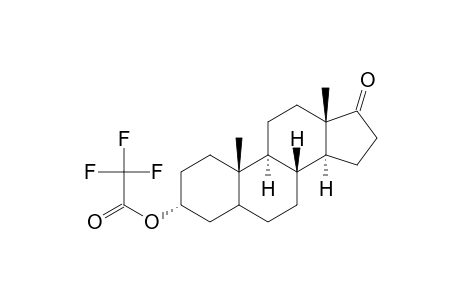 17-Oxoandrostan-3-yl trifluoroacetate
