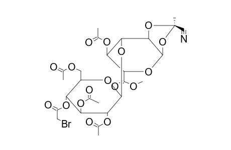 METHYL 4-O-ACETYL-3-O-(2,3,6-TRI-O-ACETYL-4-O-BROMOACETYL-BETA-D-GLUCOPYRANOSYL)-1,2-O-[1-(EXO-CYANO)ETHYLIDENE]-ALPHA-D-GLUCOPYRANOSYLURONATE