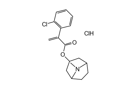 2-(o-CHLOROPHENYL)ACRYLIC ACID, 3-TROPANYL ESTER, HYDROCHLORIDE