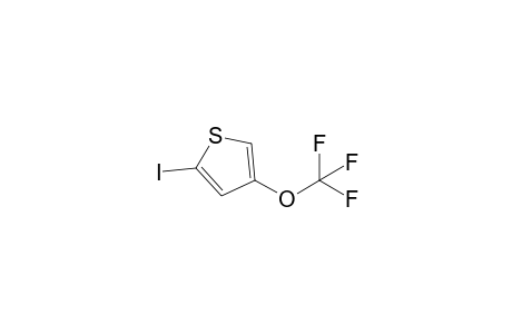 2-iodo-4-(trifluoromethoxy)thiophene