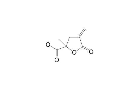 5-keto-2-methyl-4-methylene-tetrahydrofuran-2-carboxylic acid
