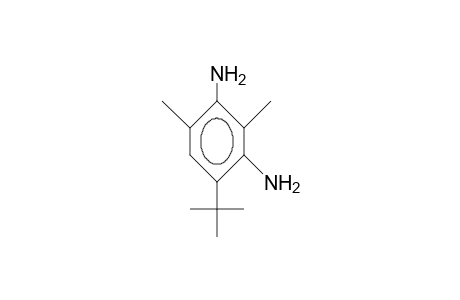 4-tert-Butyl-2,6-dimethyl-1,3-benzenediamine