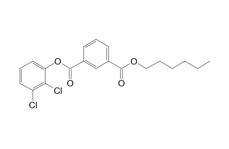 Isophthalic acid, 2,3-dichlorophenyl ester hehyl