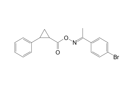 (1E)-1-(4-Bromophenyl)ethanone o-[(2-phenylcyclopropyl)carbonyl]oxime
