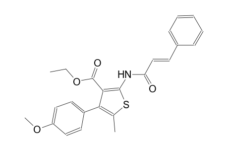 ethyl 4-(4-methoxyphenyl)-5-methyl-2-{[(2E)-3-phenyl-2-propenoyl]amino}-3-thiophenecarboxylate