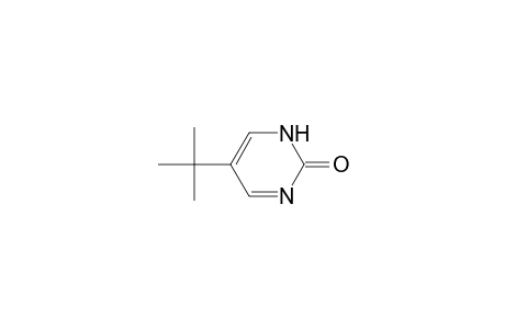 5-tert-Butyl-1H-pyrimidin-2-one