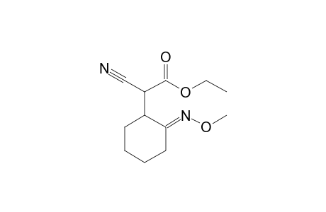2-cyano-2-[(2E)-2-methoxyiminocyclohexyl]acetic acid ethyl ester