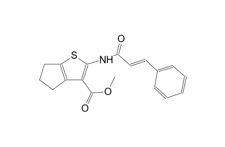 4H-cyclopenta[b]thiophene-3-carboxylic acid, 5,6-dihydro-2-[[(2E)-1-oxo-3-phenyl-2-propenyl]amino]-, methyl ester