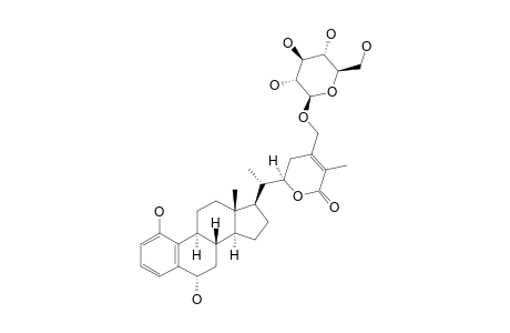 WITHALONGOLIDE_K;28-O-BETA-D-GLUCOPYRANOSYL-1,6-ALPHA-DIHYDROXY-19-NORWITHA-1,3,5-(10),24-TETRAENOLIDE