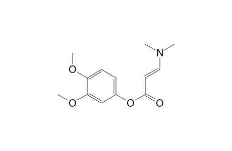 3,4-Dimethoxyphenyl (2E)-3-(Dimethylamino)prop-2-enoate
