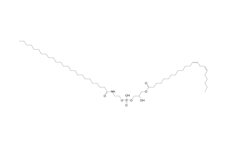 LNAPE 22:2/N-25:0