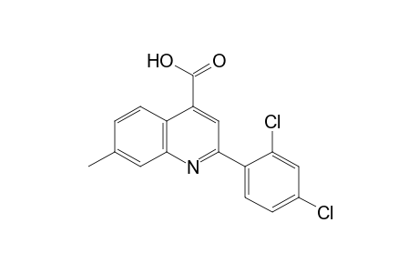 2-(2,4-DICHLOROPHENYL)-7-METHYLCINCHONINIC ACID