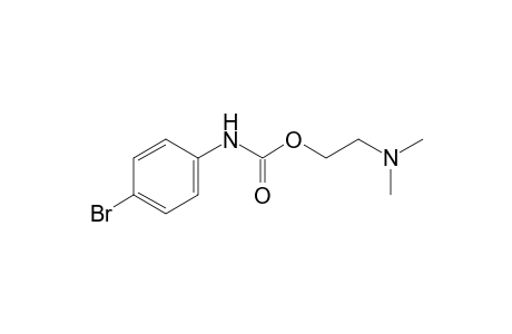 p-bromocarbanilic acid, 2-(dimethylamino)ethyl ester