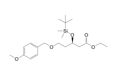 (3R)-3-[tert-butyl(dimethyl)silyl]oxy-5-p-anisyloxy-valeric acid ethyl ester