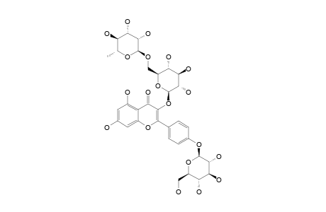 KAEMPFEROL-3-RUTINOSIDE-4'-GLUCOSIDE