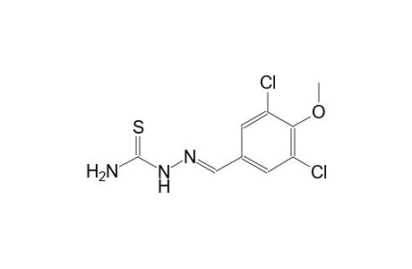 3,5-dichloro-4-methoxybenzaldehyde thiosemicarbazone
