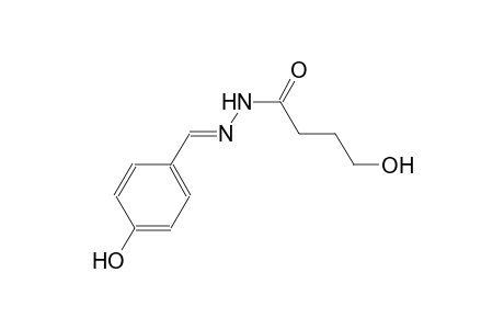 butanoic acid, 4-hydroxy-, 2-[(E)-(4-hydroxyphenyl)methylidene]hydrazide