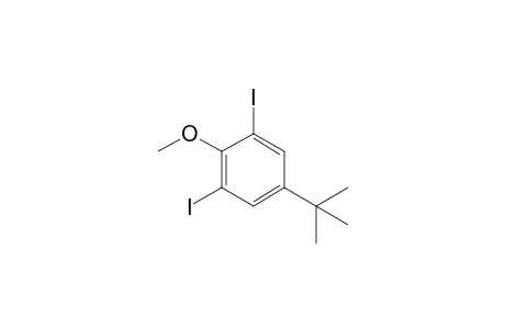 5-tert-butyl-1,3-bis(iodanyl)-2-methoxy-benzene