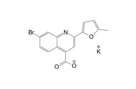 potassium 7-bromo-2-(5-methyl-2-furyl)-4-quinolinecarboxylate