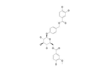 AMBUROSIDE-G;4-O-BETA-D-(6''-O-VANNILLOYL-GLUCOPYRANOSYL)-BENZYL-PROTOCATECHUATE