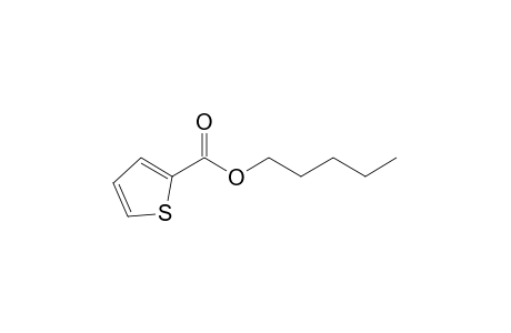 2-thiophenecarboxylic acid, pentyl ester