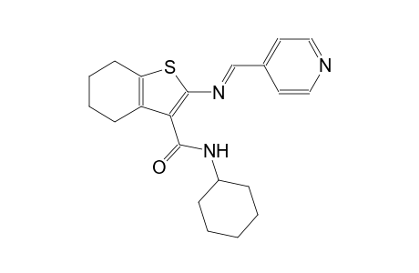 N-cyclohexyl-2-{[(E)-4-pyridinylmethylidene]amino}-4,5,6,7-tetrahydro-1-benzothiophene-3-carboxamide