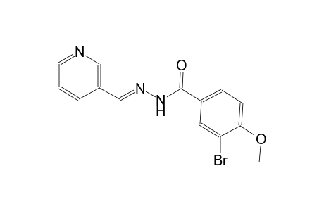 benzoic acid, 3-bromo-4-methoxy-, 2-[(E)-3-pyridinylmethylidene]hydrazide