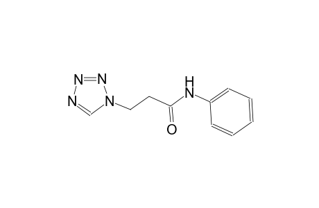N-phenyl-3-(1H-tetraazol-1-yl)propanamide