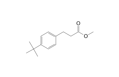 4-tert-Butyl-hydrocinnamic acid, methyl ester
