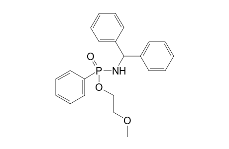 N-Diphenylmethyl-P-(2-methoxyethyl)-P-phenyl-phosphonamide