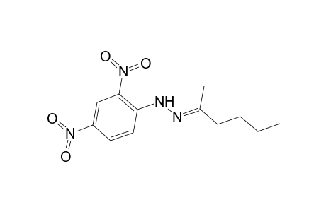 2-Hexanone, (2,4-dinitrophenyl)hydrazone