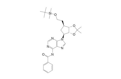 6-BENZOYL-9-(5-O-TERT.-BUTYLDIMETHYLSILYL-2,3-O-ISOPROPYLIDENECARBA-BETA-DL-RIBOFURANOSYL)-ADENINE